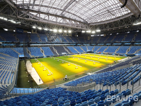 В минсельхозе РФ заявили, что чемпионату мира по футболу угрожает саранча