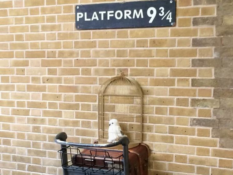 Фанат Гарри Поттера пытался пройти сквозь стену на платформу 9 ¾ лондонского вокзала. Видео