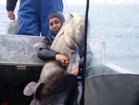 Возле Черкасс выловили сома весом 140 кг – Макаренко