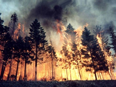 В России из-за масштабных лесных пожаров введен режим чрезвычайной ситуации
