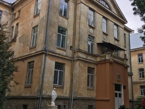 Во Львове суд обязал учительницу заплатить 300 тыс. грн за смерть девятилетнего школьника, который выпал из окна