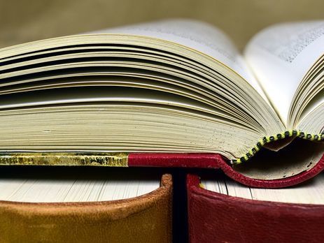 Госкомтелерадио запретило ввозить в Украину книгу Задорнова