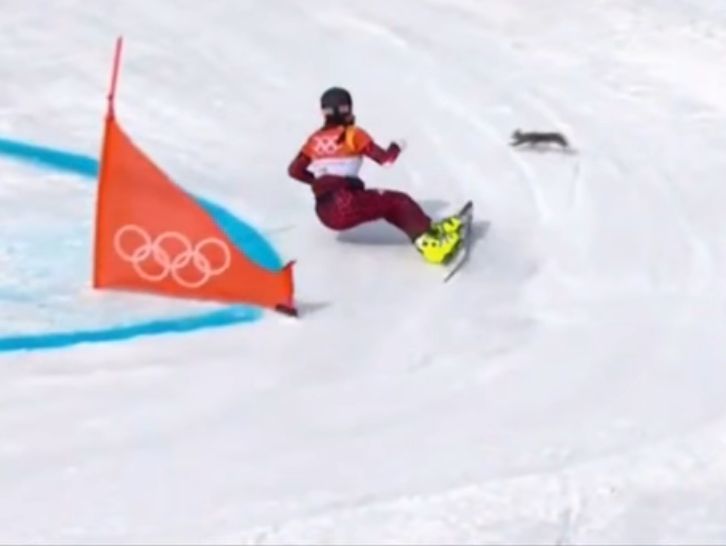 Белка "подрезала" сноубордистку на Олимпиаде. Видео