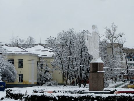 Депутат Житомирської облради намагався застрелитися