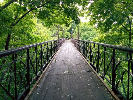 Пальчевский: Я спалил мостик влюбленных в Киеве. Тем человеком в балаклаве, который кричал: 