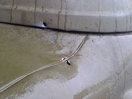 Сотрудники Донецкой фильтровальной станции попали под обстрел – 