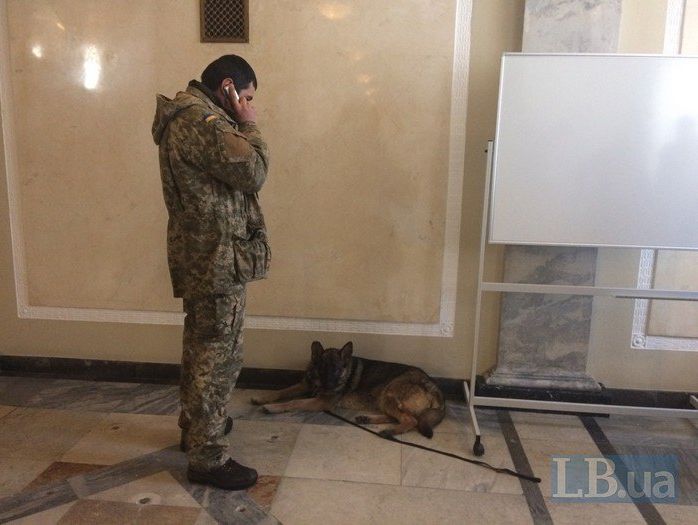 Через Савченко в Раді з'явилися кінологи із собаками – ЗМІ
