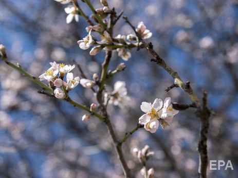 На следующей неделе в Украине ожидается до +16° – Гидрометцентр