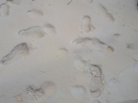 В Укргидрометцентре объяснили желтый оттенок снега на юге Одесской области перемещением пылевого облака с севера Африки