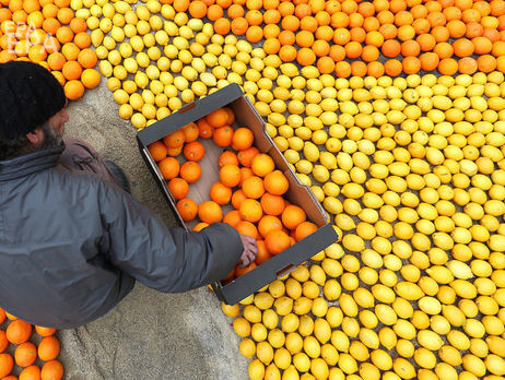 А, В, С, D, E. Алфавит авитаминоза