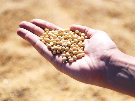 Участники рынка поддержали отмену налоговых льгот на сою