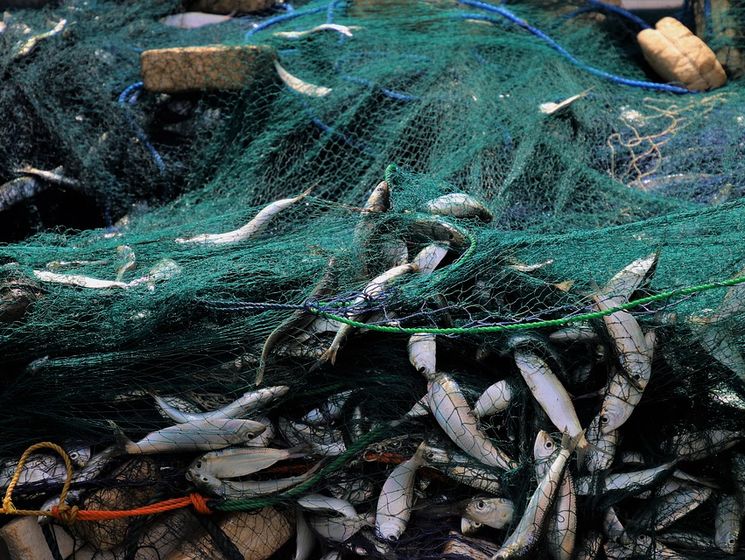 Із 1 квітня в Україні введено нерестову заборону на ловлю риби