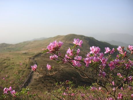 От Голландии до ЮАР: Куда лучше поехать в апреле