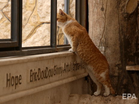 Супрун призвала не бояться небольших сквозняков