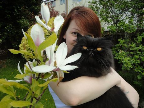 Посольство РФ в Великобритании требует от Лондона ответа о судьбе второго кота Скрипаля