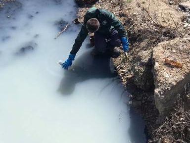 Крымский блогер заявил, что оккупационные власти скрывают экологическую катастрофу в Коктебеле