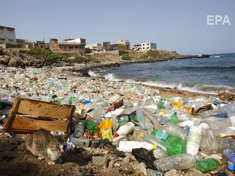 Учені випадково розробили фермент, який переробляє пластик