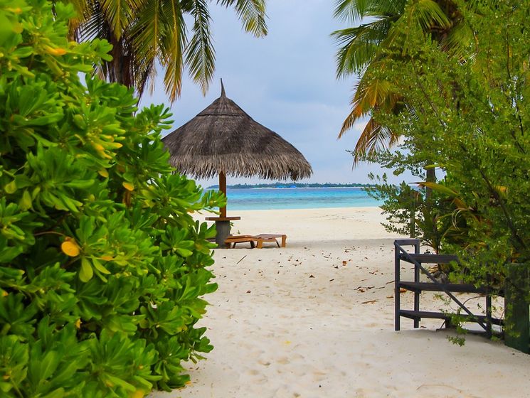 Глобальное потепление угрожает существованию Мальдивов и Сейшел – ученые