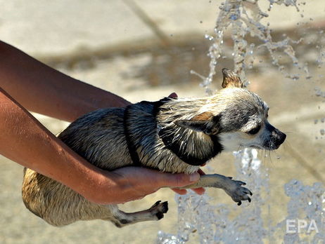 В Киеве ночь на 26 апреля была самой теплой с 1881 года