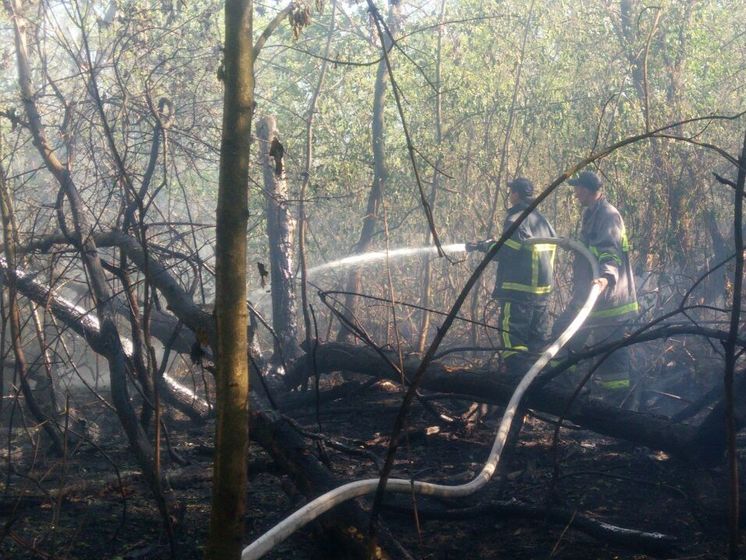 У Києві сталася пожежа на Трухановому острові