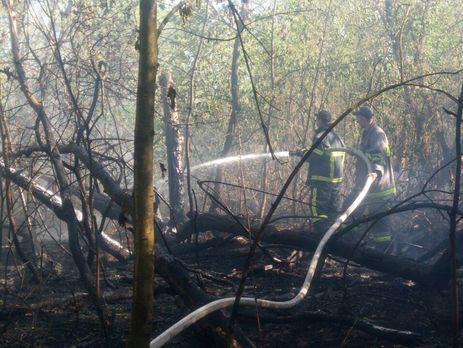 В Киеве произошел пожар на Трухановом острове