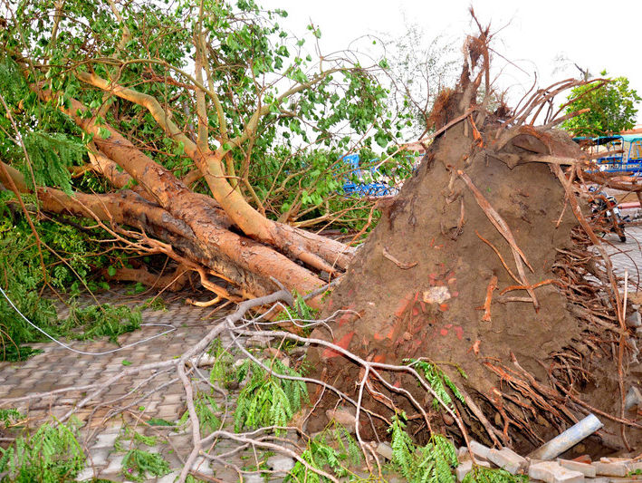 Кількість жертв шторму в Індії сягнула 127