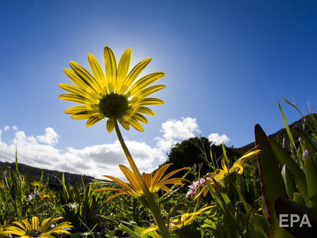 В Киеве с начала мая зафиксировали 12 температурных рекордов