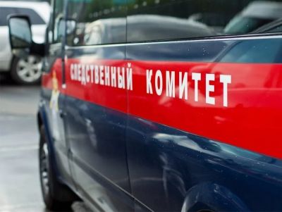 У метро Москви чоловік підняв співробітника Росгвардії і проніс кілька кроків, Слідком має намір відправити порушника під домашній арешт