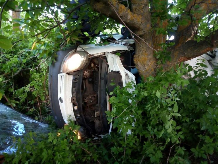 У Миколаївській області мікроавтобус зіткнувся з деревом, п'ятеро людей загинуло, троє дістало травми