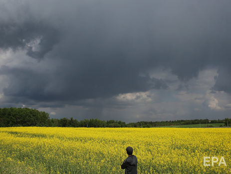 Мораторий на продажу земель сельхозназначения действует в Украине с 2002 года