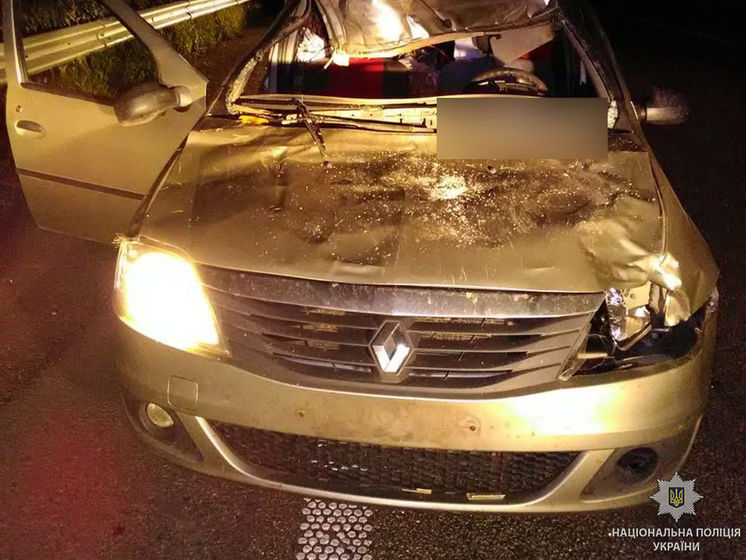 На трасі Київ – Харків автомобіль зіткнувся з лосем, загинула одна людина