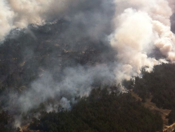 У Херсонській області за допомогою авіації гасять верхову пожежу в лісі