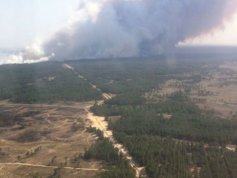 Пожар в Херсонской области уже охватил около 580 га леса