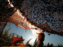 В Днепре в больнице скончались двое украинских военных