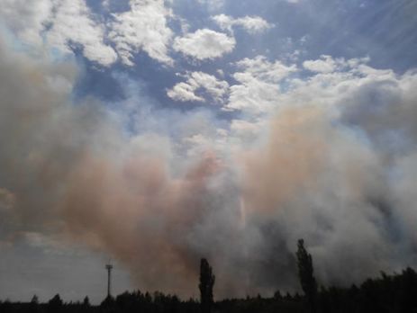 В зоне отчуждения ЧАЭС обнаружены следы поджога