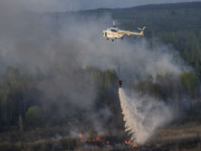 В Чернобыльской зоне горит лес, в СМИ появился 