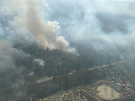 Под Чернобылем горит лес. Фоторепортаж