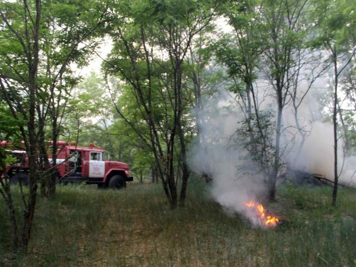 Пожежу в Чорнобильській зоні відчуження локалізовано – ДержНС