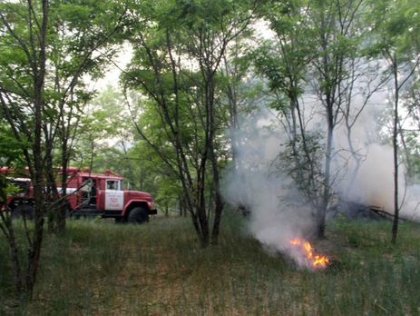 ﻿Загоряння трави в Чорнобильській зоні відчуження ліквідували