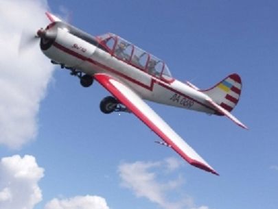 В Алтайском крае России потерпел крушение самолет Як-52