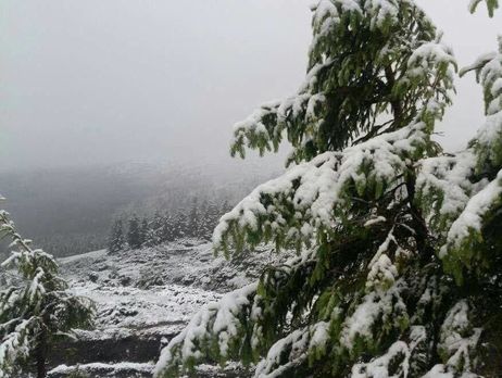 В Карпатах выпал снег. Фоторепортаж