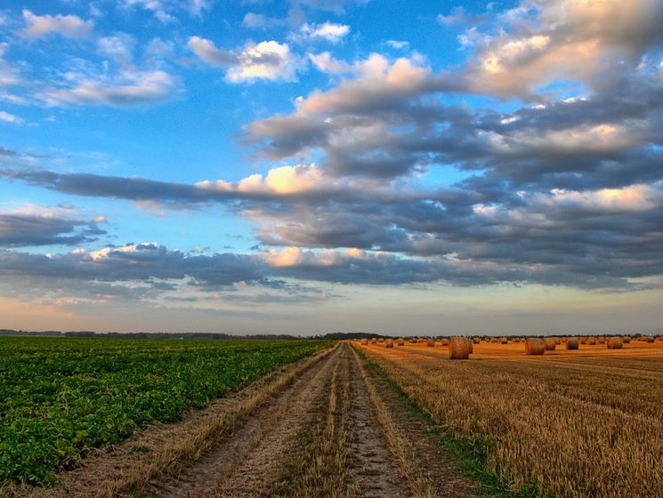 ﻿Фермери в Черкаській області поскаржилися на непрозорі земельні аукціони, які проводить місцевий Держгеокадастр