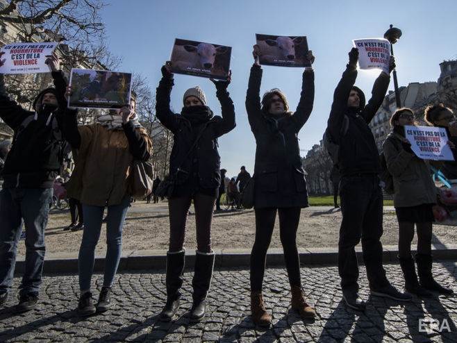 Французские мясники просят у властей защиты от веганов