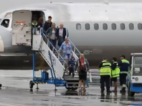 Причиной аварийной посадки самолета в Борисполе стало столкновение со стаей птиц