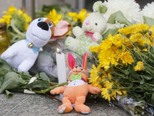 Подсолнухи и игрушки. В Украине и Нидерландах почтили жертв катастрофы MH17. Фоторепортаж