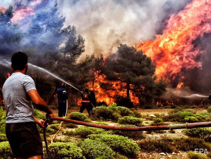 Число жертв лесных пожаров в Греции возросло до 81