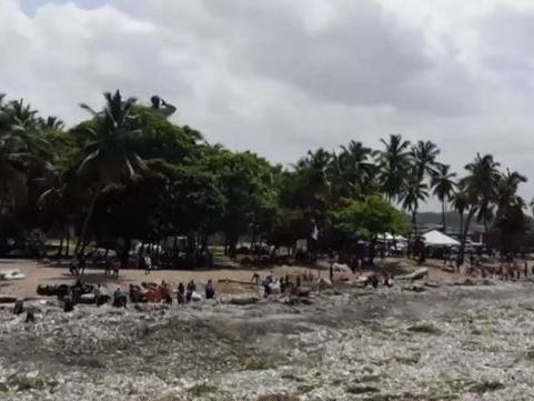 Пляж на Карибах утопает в пластиковом мусоре. Видео