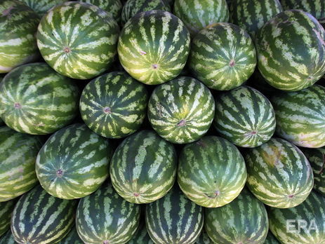 Баржа с херсонскими арбузами прибудет в Киев 10 августа