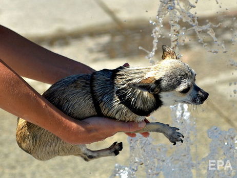 В Украине на выходных ожидается жара и грозы