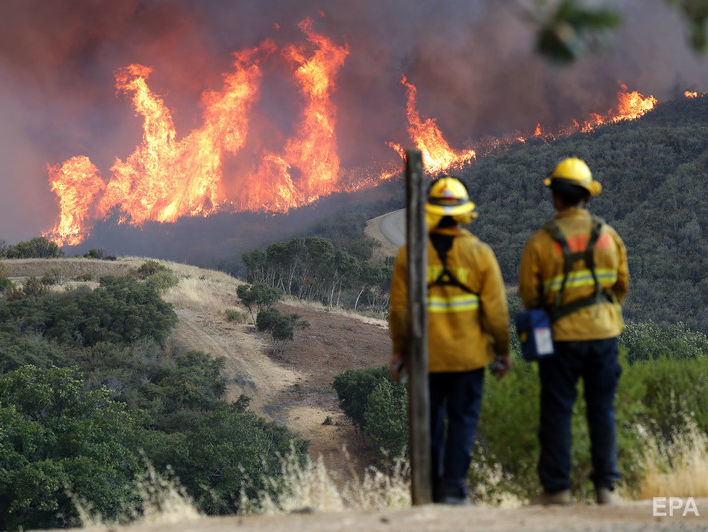 ﻿Трамп заявив, що ліси в Каліфорнії горять через погані закони